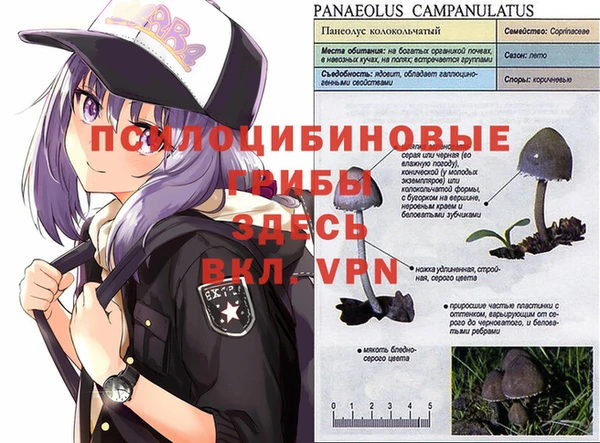 ешки Алексин