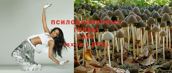 синтетический гашиш Алексеевка