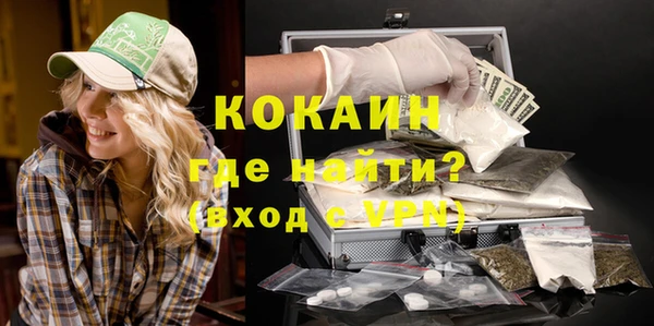 ешки Алексин
