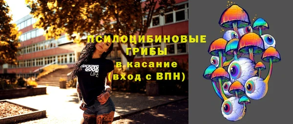 ешки Алексин