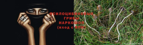 мескалин Алзамай